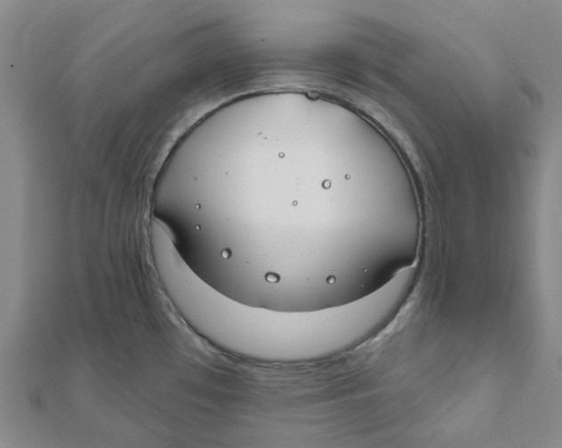 X0000111791481200908201120