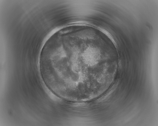 X0000111791482200908201120