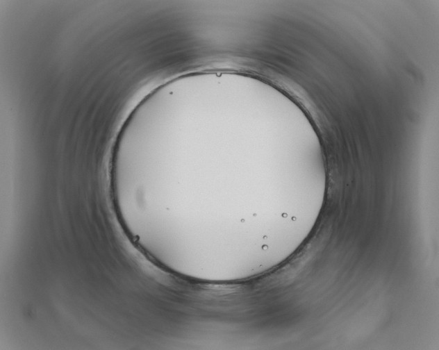 X0000111791483200908201120