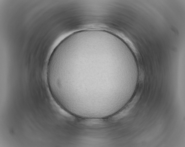 X0000111791486200908201120