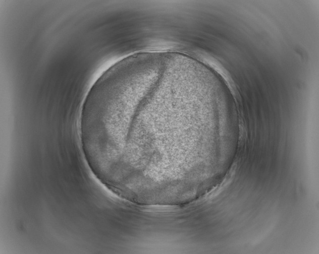 X0000111791487200908201120