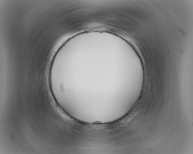 X0000111791488200908201120