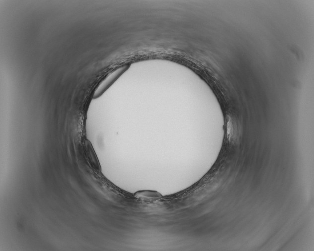 X0000111791492200908201120