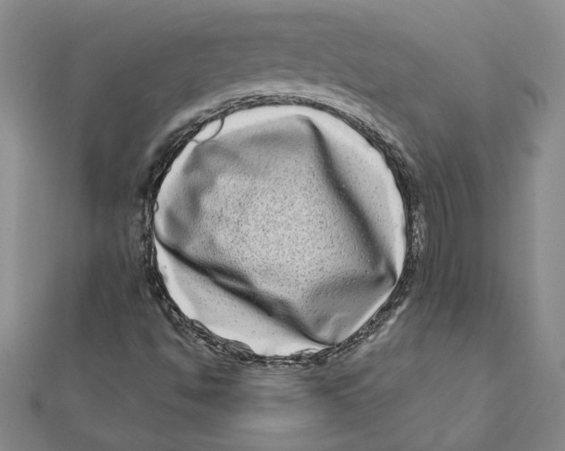 X0000111791494200908201120