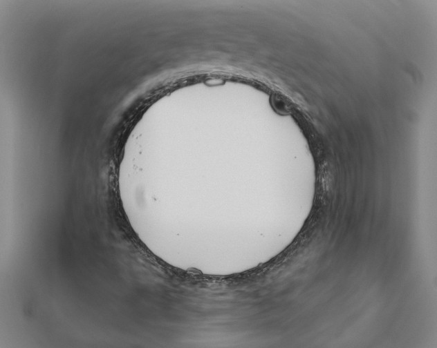 X0000111791495200908201120