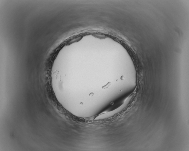 X0000111791496200908201120