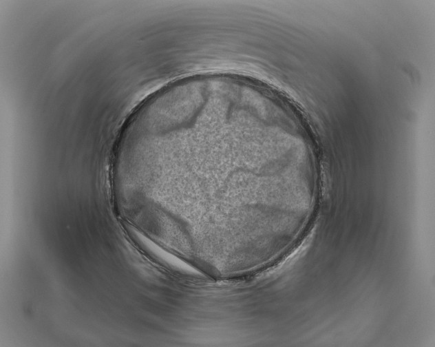 X0000111791497200908201120