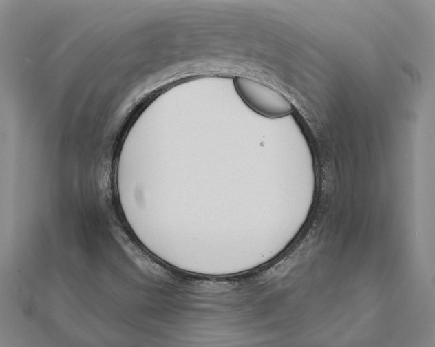 X0000111791499200908201120