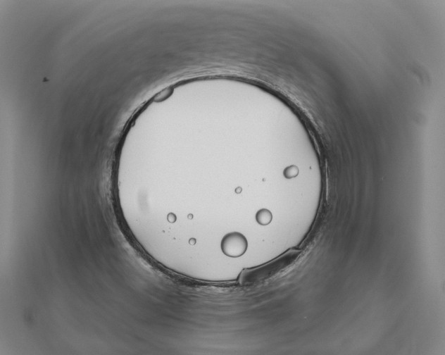 X0000111791500200908201120