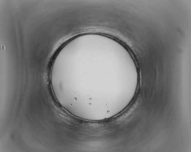 X0000111791501200908201120