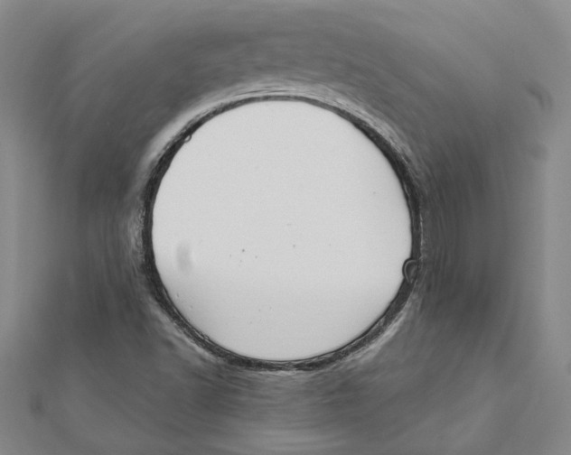 X0000111791502200908201120