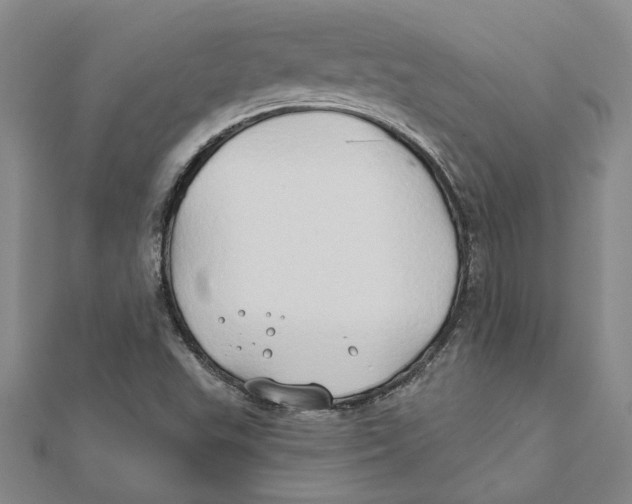 X0000111791503200908201120