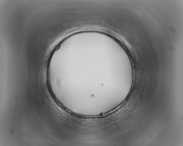 X0000111791504200908201120