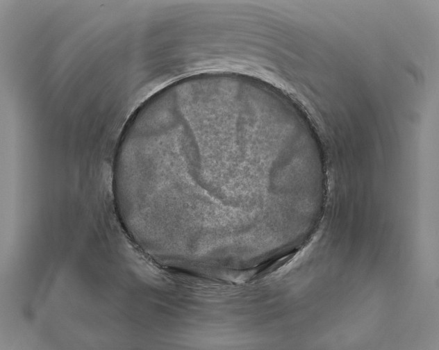 X0000111791505200908201120