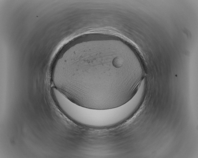 X0000111791506200908201120