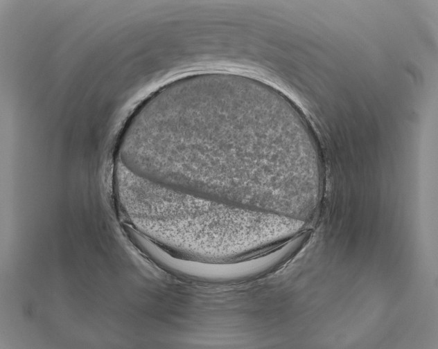 X0000111791507200908201120