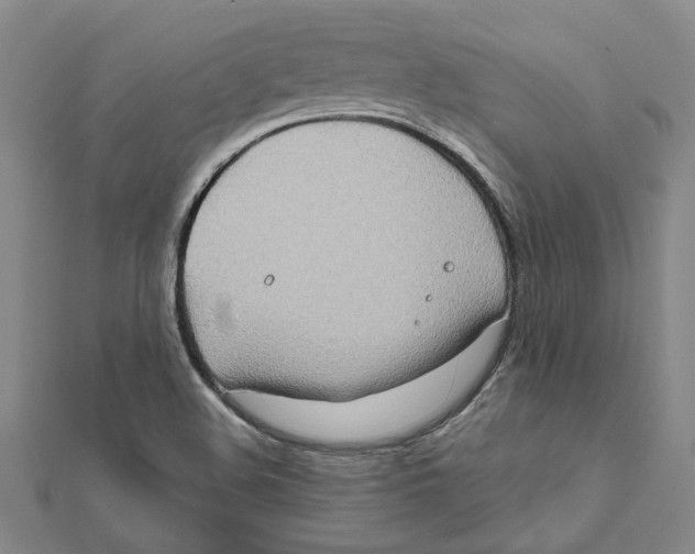 X0000111791508200908201120