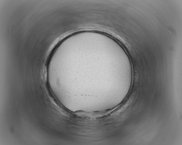 X0000111791509200908201120