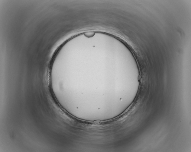 X0000111791510200908201120