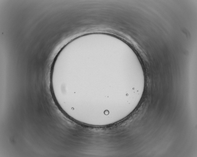 X0000111791512200908201120