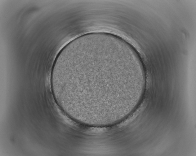 X0000111791513200908201120