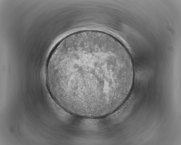 X0000111791514200908201120