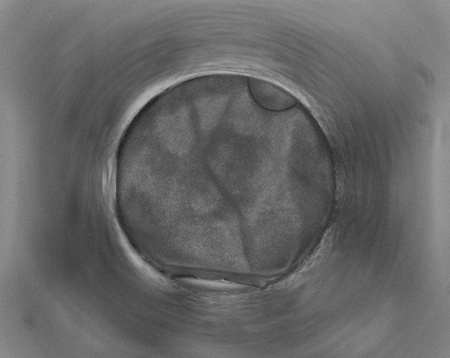 X0000111791515200908201120