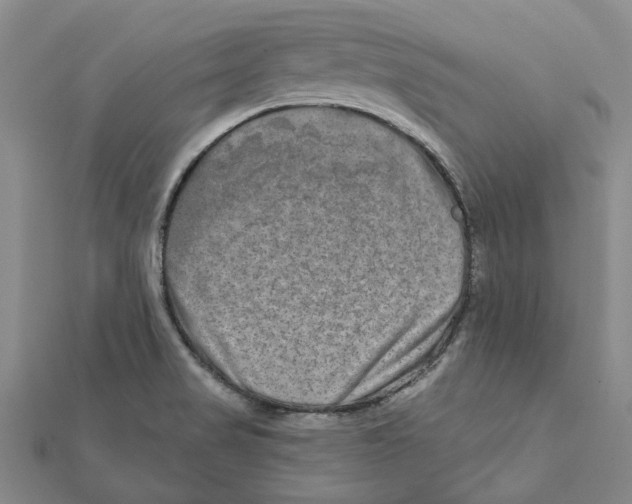 X0000111791517200908201120