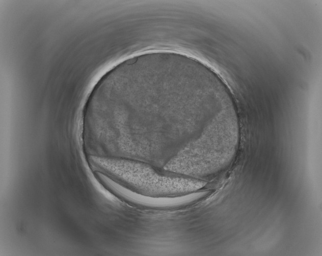 X0000111791519200908201120