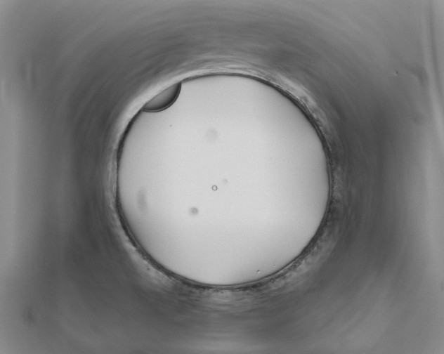 X0000111791520200908201120