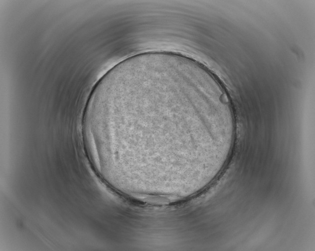 X0000111791521200908201120