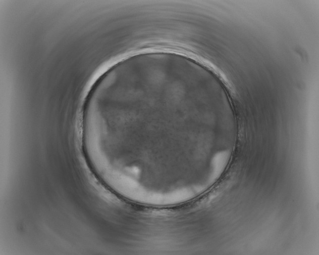 X0000111791522200908201120