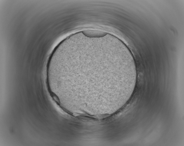 X0000111791523200908201120