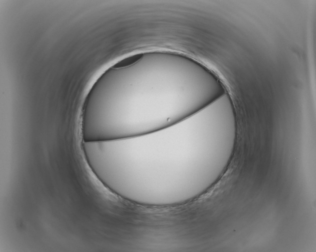 X0000111791524200908201120