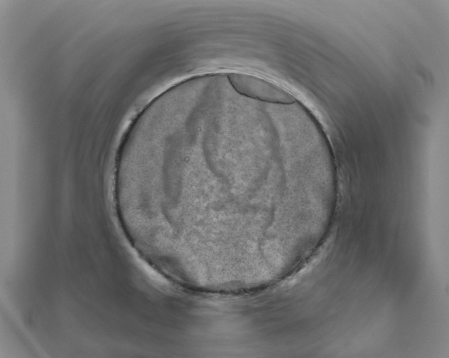 X0000111791525200908201120