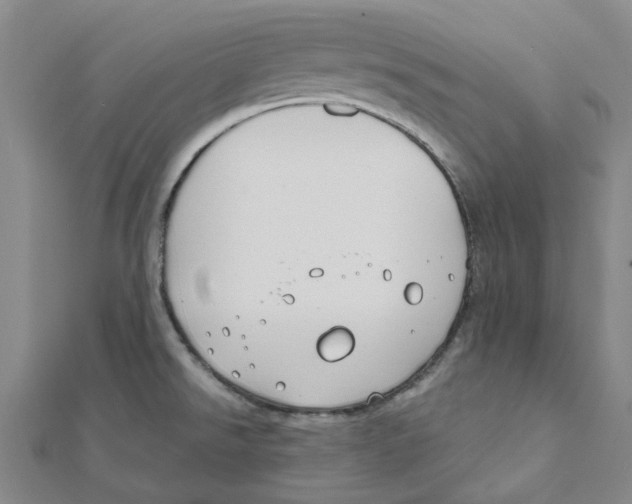 X0000111791526200908201120