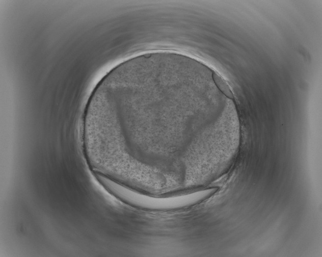 X0000111791527200908201120