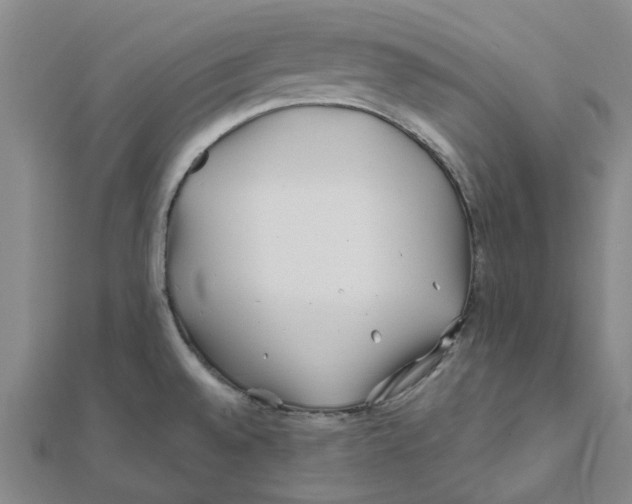 X0000111791528200908201120