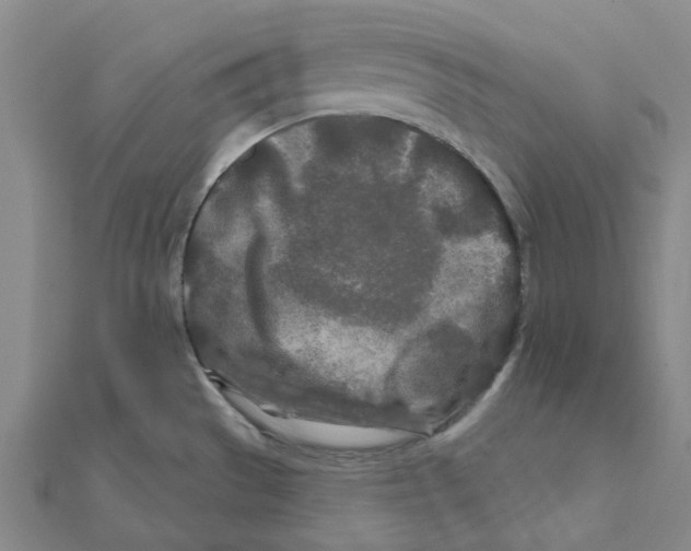 X0000111791529200908201120