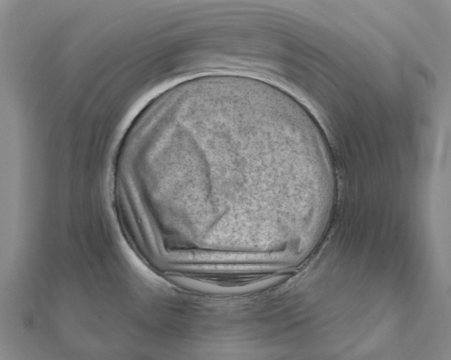 X0000111791531200908201120