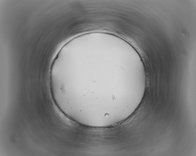 X0000111791532200908201120