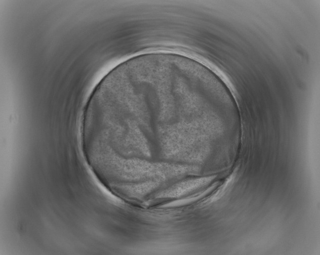 X0000111791533200908201120