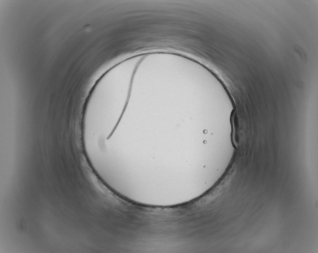 X0000111791534200908201120