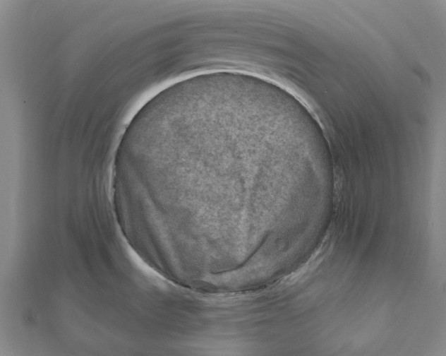 X0000111791535200908201120