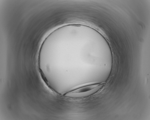 X0000111791536200908201120