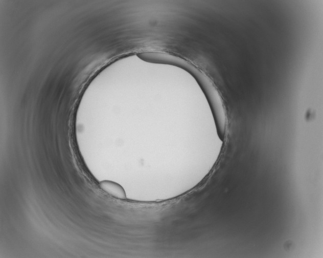 X0000111790001200909031209