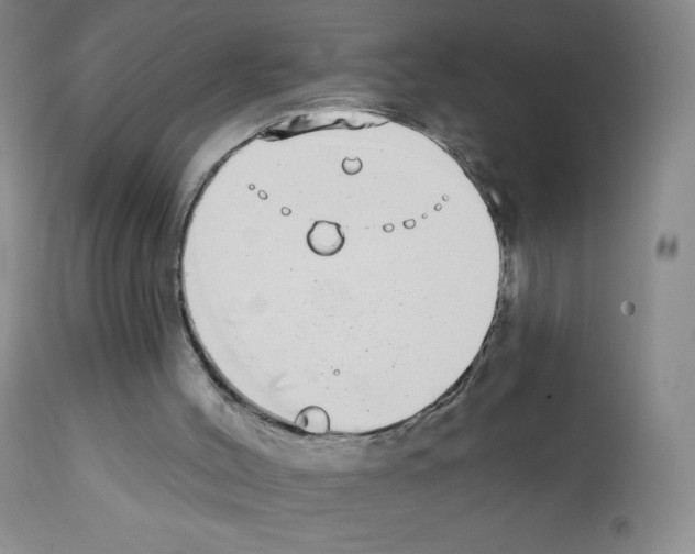 X0000111790004200909031209