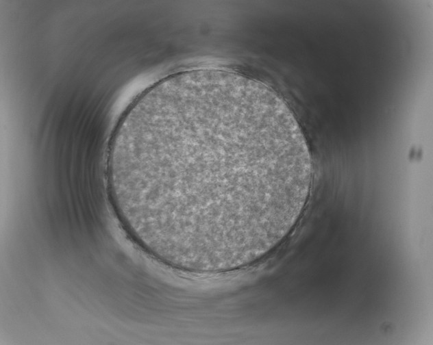 X0000111790006200909031209