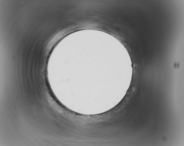 X0000111790007200909031209