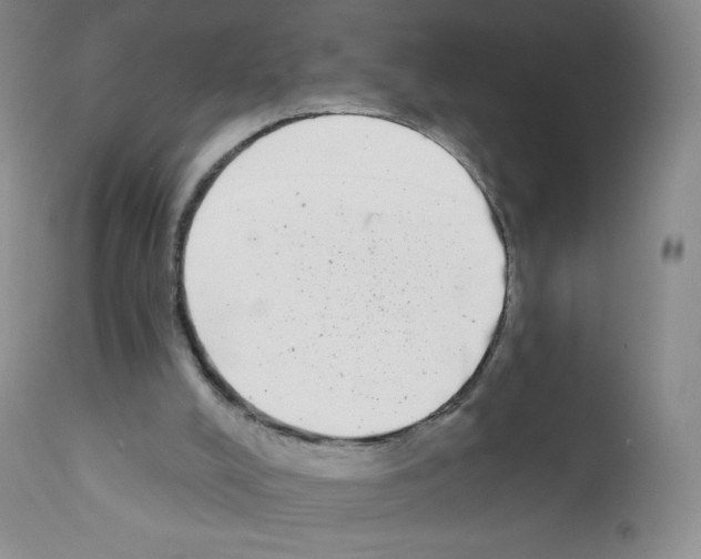 X0000111790008200909031209